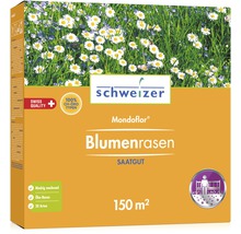 Schweizer Mondoflor Blumenrasen Saatgut für 150 Quadratmeter