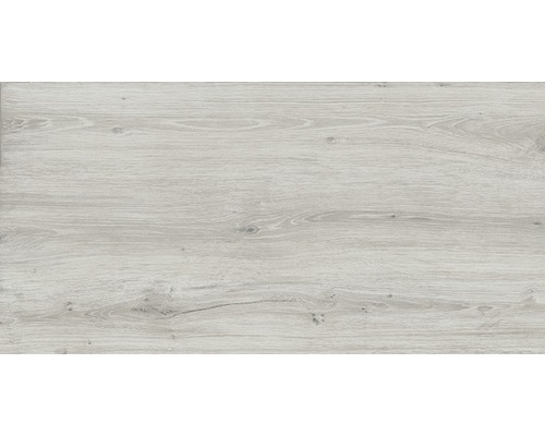 Carrelage sol et mur Count Moon 60x120 cm