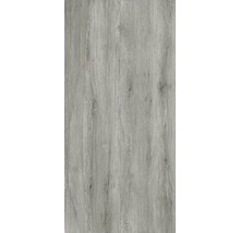 XXL Feinsteinzeug Wand- und Bodenfliese Count Grey 120x260 cm-thumb-2