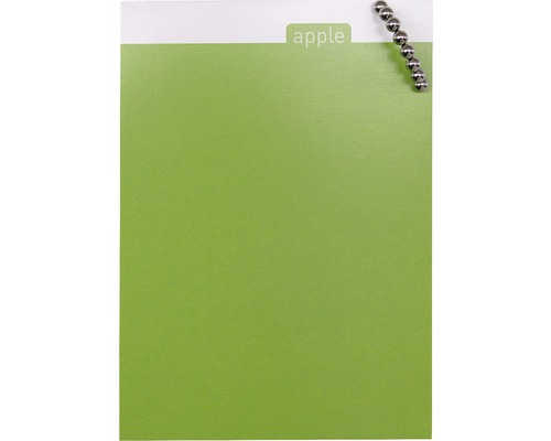 Carnet vert avec onglet Apple et billes en acier