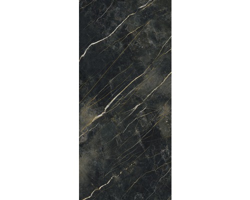 Feinsteinzeug Wand- und Bodenfliese Darkstone forest pulido 120x260 cm