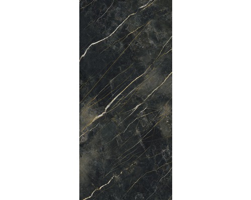 Feinsteinzeug Wand- und Bodenfliese Darkstone forest pulido 120x260 cm-0