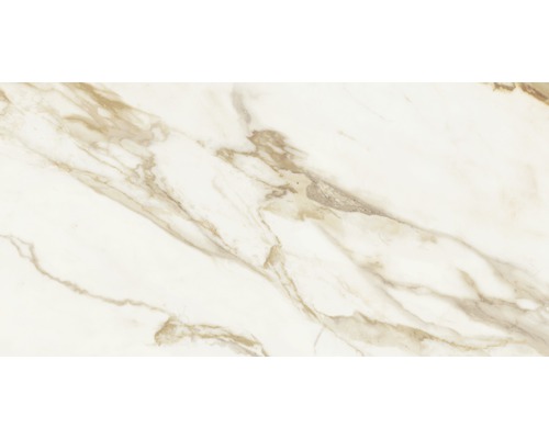 Feinsteinzeug Wand- und Bodenfliese Comfort gold pulido 60x120 cm Feinsteinzeug Wand- und Bodenfliese Comfort gold pulido 60x120 cm