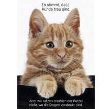 Porträt einer roten Katze mit Text über die Treue von Hunden