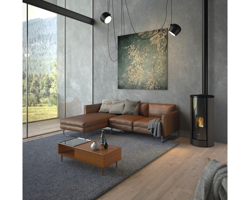 Salon avec canapé en cuir, poêle et table en bois