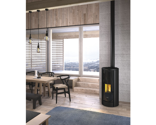 Salon avec poêle à bois, table en bois et chaises