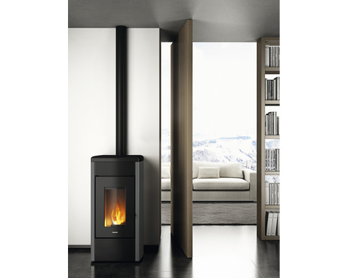 Poêle à pellets noir avec tuyau de poêle noir dans une pièce aménagée moderne