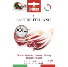 Blumen Radicchio Rossa di Treviso Saatgutpackung