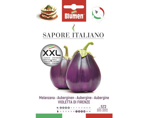 Graines d'aubergines