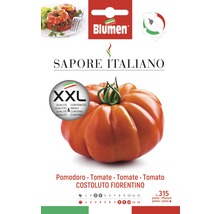 Blumen Graines de tomates Costoluto Fiorentino