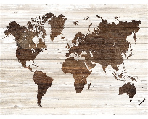 Leinwandbild Worldmap On Wood 57x77 cm