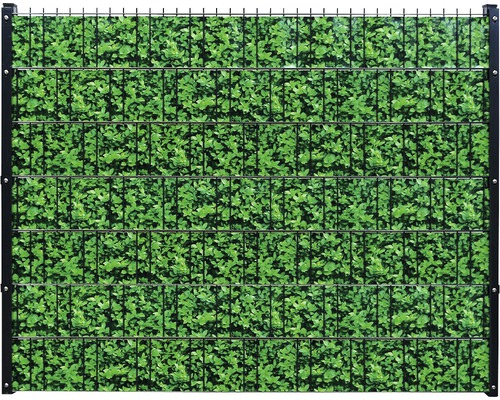 Clôture en treillis soudé avec motif de haie comme écran d''intimité