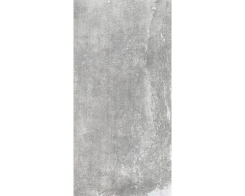 Carrelage sol et mur Globus steel lapp. 30x60 cm