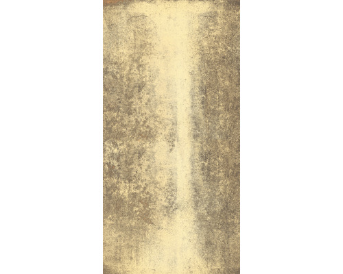 Carrelage sol et mur Globus gold pol. 60x120 cm