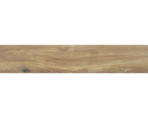 Feinsteinzeug Wand- und Bodenfliese Oakwood roble BxLxS 23x120x0.97 cm