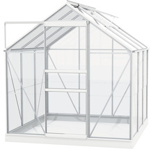 Gewächshaus Vitavia Planet 3800 Einscheibensicherheitsglas 3 mm 195 x 195 cm alublank