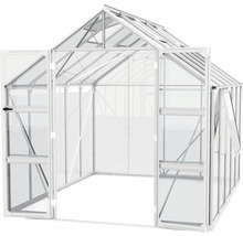 Gewächshaus mit geöffneter Tür und Fenster