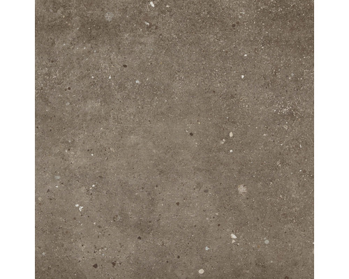Carrelage sol Modernstone brown 75x75 cm