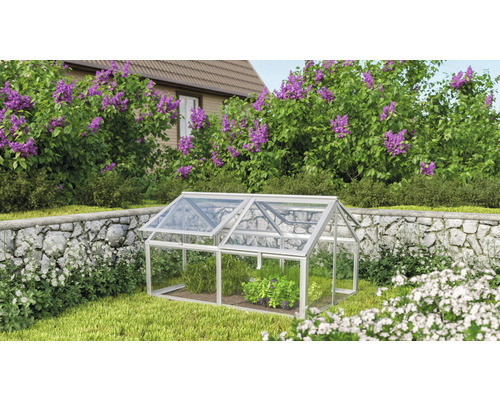 Châssis de culture Gamma verre de sécurité trempé 124,3 x 89 x 71,3 cm argent Mini-serre de jardin avec plantes