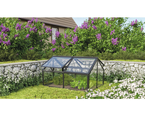 Châssis de culture Gamma verre de sécurité trempé 124,3 x 89 x 71,3 cm noir Serre de jardin avec fenêtres ouvertes pour la culture de plantes