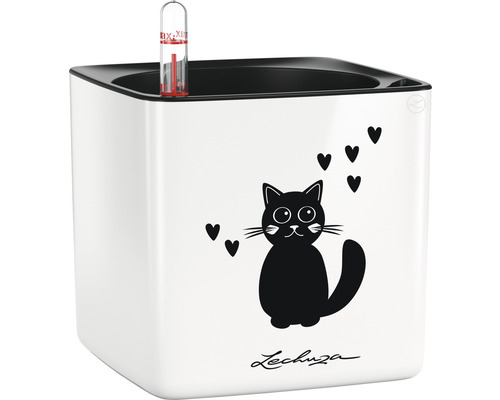 Pot de fleurs Lechuza Cube Glossy 14 Cat blanc avec système d'arrosage en terre Pot de fleurs Lechuza Mini-Cubico avec motif de chat et indicateur de niveau d''eau