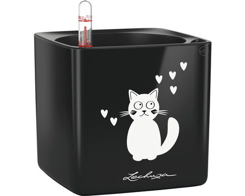 Pot de fleurs Lechuza Cube Glossy 14 CAT noir avec système d'arrosage en terre Pot de fleurs noir avec motif de chat et indicateur de niveau d''eau