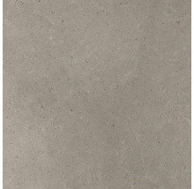 Carrelage avec surface mate