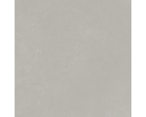 Feinsteinzeug Wand- und Bodenfliese Planet silver soft 60x60 cm