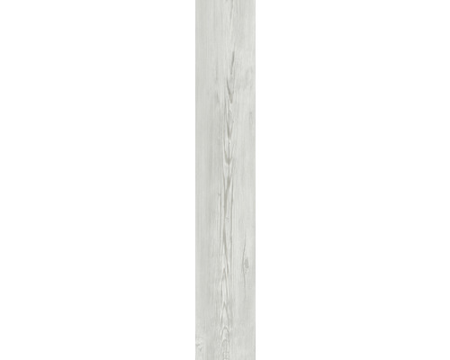 Panneau en plastique G x Wall+ Light Grey Oak 900 x 150 x 5 mm Carreau imitation bois clair avec grain pour l''intérieur