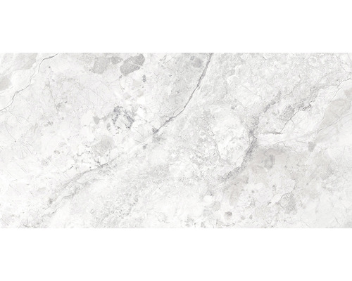 Feinsteinzeug Wand- und Bodenfliese Dreamy Cloud poliert 60x120 cm Feinsteinzeug Wand- und Bodenfliese Dreamy Cloud poliert 60x120 cm