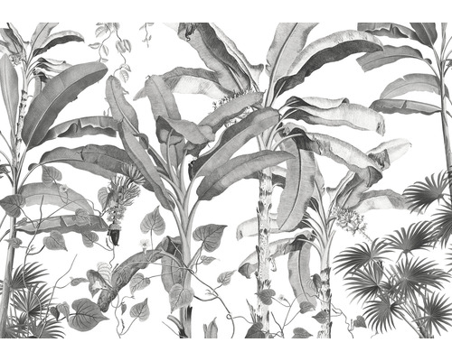 Papier peint panoramique intissé INX8-082 Ink Croissances Monochrome 8 pces 400 x 280 cm