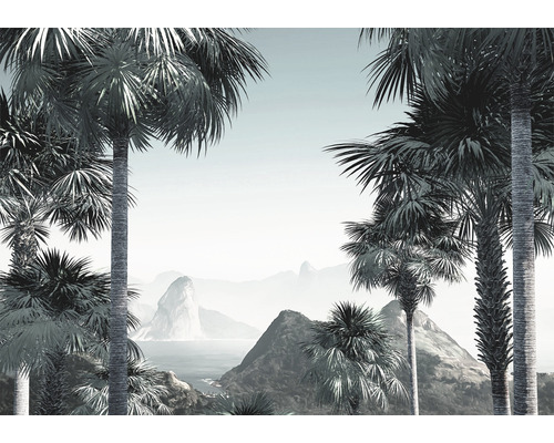Papier peint panoramique intissé INX8-041 Ink Guanabara 8 pces 400 x 280 cm