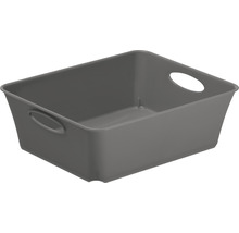 Aufbewahrungsbox aus Kunststoff mit Griffen