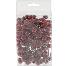 Baies rouges décoratives dans un emballage.