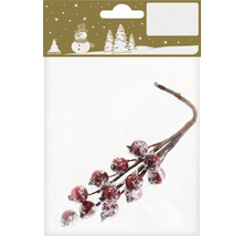 Dekozweig mit roten Beeren und Schnee in Verpackung