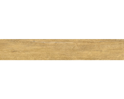 Plinthe de carrelage Lenk Honey AS 8x60 cm C/R Carreau imitation bois