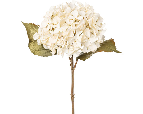 Kunstblume Hortensie 65 cm beige