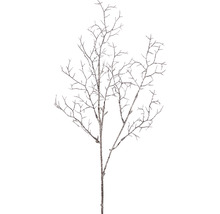 Dekorativer Zweig ohne Blätter als Innendekoration
