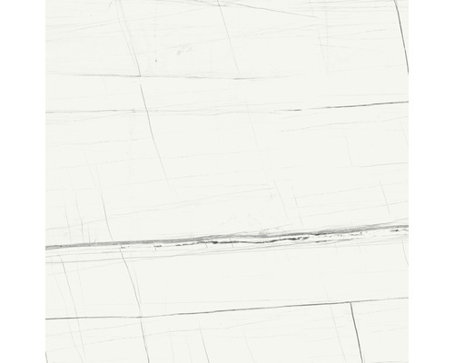 Feinsteinzeug Bodenfliese Scandium White Pulido 120x120 cm