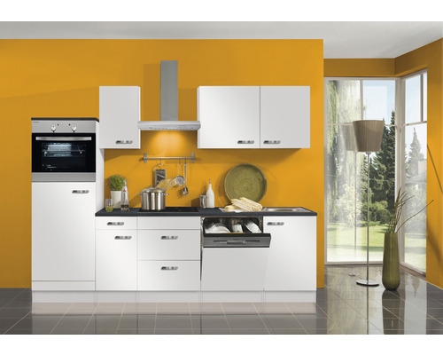 Cuisine complète avec appareils, évier et lave-vaisselle dans un design clair et moderne