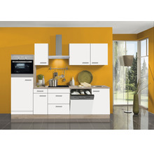 Cuisine moderne avec four intégré, évier, plaque de cuisson, hotte aspirante et lave-vaisselle