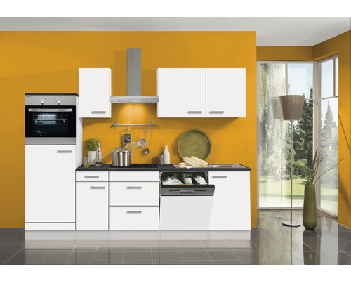 Cuisine moderne avec armoires blanches, lave-vaisselle et four