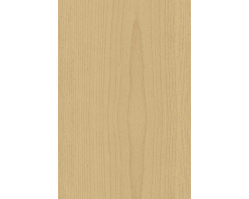 Panneau en bois avec grain de bois