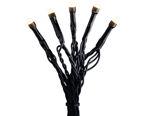 Guirlande lumineuse avec ampoules LED