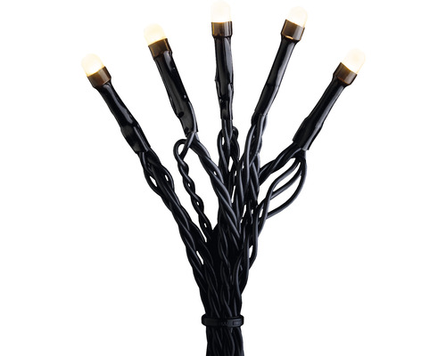Guirlande lumineuse LED avec lumières blanc chaud et câble noir