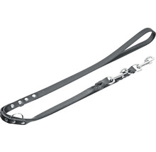 Schwarze Hundeleine aus Leder mit Metallschnalle und Nieten