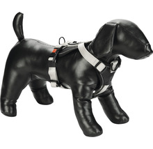 Hundegeschirr an einer Hundepuppe