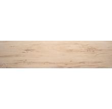 Échantillon de carrelage Strobus Wood Birch poli