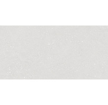 Échantillon de carrelage Alpen blanc mat