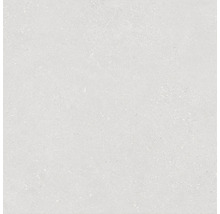 Échantillon de carrelage Alpen blanc mat